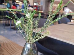 -gaga(深圳南山益田假日广场店)