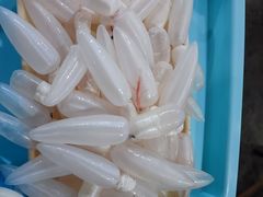 鲮鱼泡-章记正宗南岗鱼蛋火锅