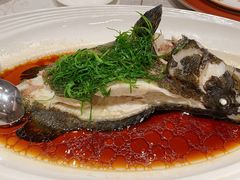 -上海宝华喜来登酒店·采悦轩中餐厅