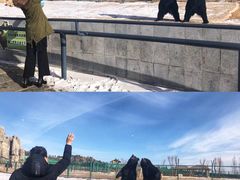 -鄂尔多斯野生动物园