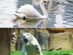 -杭州野生动物世界