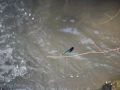 -达蓬山旅游度假区