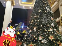 -维也纳国际酒店（上海旅游度假区浦东机场店）-停车点