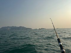 -小猫钓鱼海钓俱乐部(椰梦长廊店)