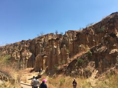 -元谋土林景区(物茂土林)