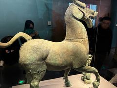 -广西壮族自治区博物馆