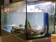 -本炙炭烤·蒲烧活鳗料理店(金沙洲店)