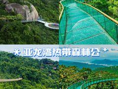 -亚龙湾热带天堂森林公园