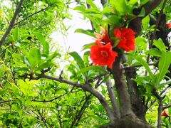 景点-暨阳湖生态园