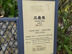 -美的鹭湖森林度假区