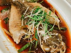清蒸笋壳鱼-新南华大酒店(广中店)
