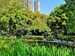 -成都市活水公园