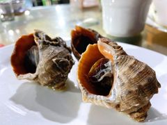 白灼红螺-海门岛七号餐厅