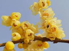 -塔子山公园