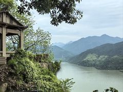 -芦茨金富饭庄·25年老字号·专做稻草鸡