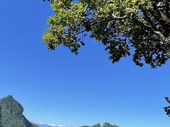 -大九湖
