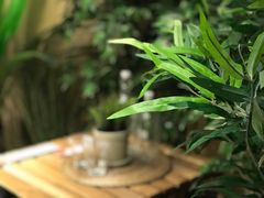 -江燕路万科里