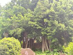 -乌山风景区