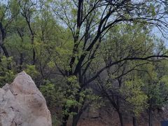 -北京西山国家森林公园