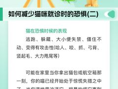 -瑞派申生动物医院·24H夜诊·国际动物医疗中心·骨外科(吴中路店)