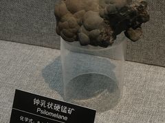 -甘肃地质博物馆