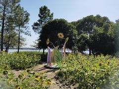 -无锡蠡湖国家湿地公园-蠡园