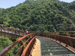 -少华山国家森林公园