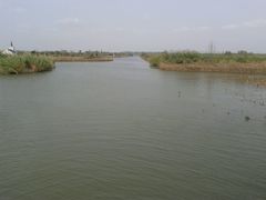 -泗洪洪泽湖湿地景区