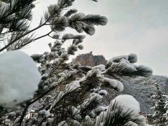 -塔云山