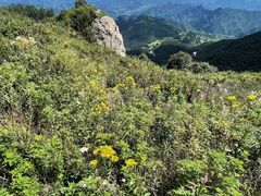 -白草畔自然风景区