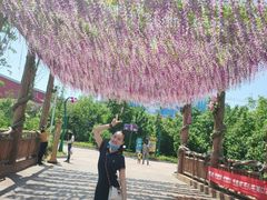 -哈尔滨融创文旅城