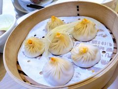 手拆六月黄小笼包-苏小柳点心·手作小笼包(浦东嘉里城分院)