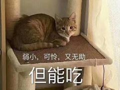 -时光码头民谣公社