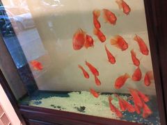 -北纬37°SPA养身会馆(湖西店)