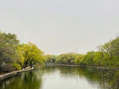 -北陵公园