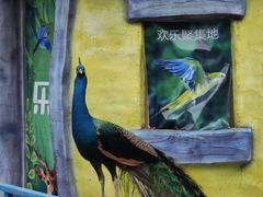 -南湾湖
