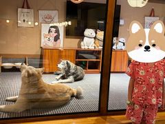 -大江户·温泉洗浴(浑南店)