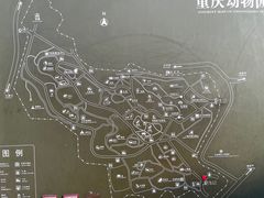 -重庆动物园·东二门售票处