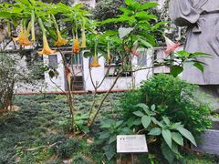 -广州神农草堂中医药博物馆