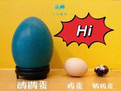 -子悦童萌国际托育中心(珠江新城店)