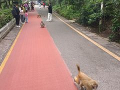 -黔灵山公园