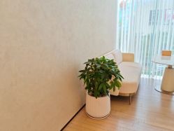 -琴美美容美发·三美会所