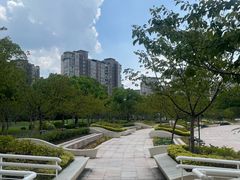 -新江湾城公园