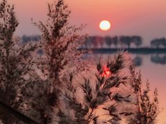 -野鸭湖国家湿地公园