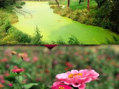 -沈阳森林动物园