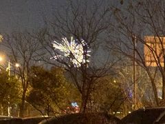 -大塘金香草谷