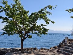 -抚仙湖禄充风景区