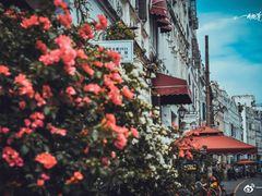 -文昌鸡饭店110号(中山路店)