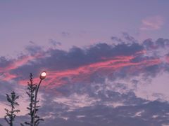 -小菜园新徽菜(常州天宁吾悦店)