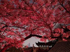 -鸡鸣寺